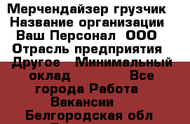 Мерчендайзер-грузчик › Название организации ­ Ваш Персонал, ООО › Отрасль предприятия ­ Другое › Минимальный оклад ­ 40 000 - Все города Работа » Вакансии   . Белгородская обл.,Белгород г.